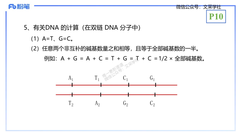 理论精讲02-分子生物学2-拾光_4-教培资料-26年最新资料-同步更新_初中高中教资_03科三专项（进去保存报考的学科即可）_01科目三FB网课、三色速记手册、知识点导图等推荐_初中