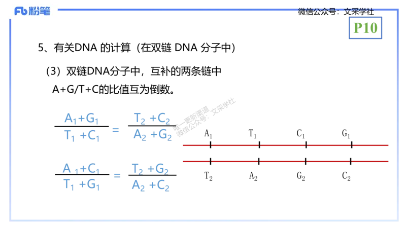 理论精讲02-分子生物学2-拾光_4-教培资料-26年最新资料-同步更新_初中高中教资_03科三专项（进去保存报考的学科即可）_01科目三FB网课、三色速记手册、知识点导图等推荐_初中