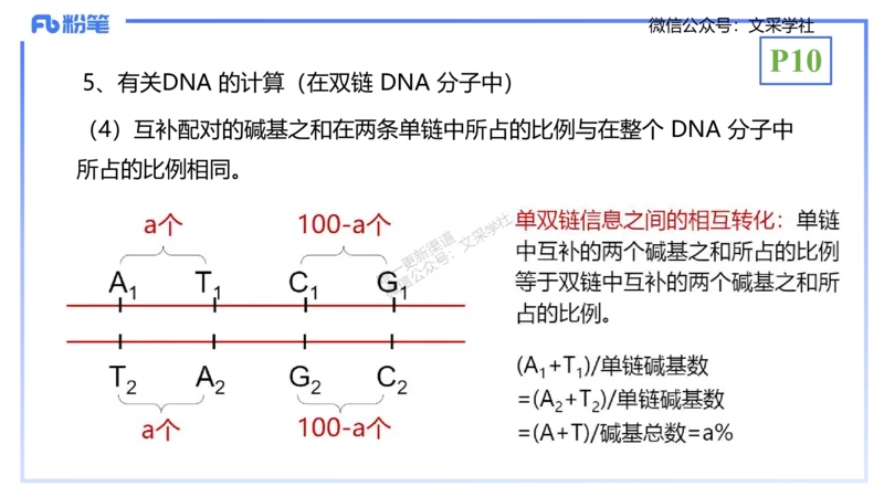 理论精讲02-分子生物学2-拾光_4-教培资料-26年最新资料-同步更新_初中高中教资_03科三专项（进去保存报考的学科即可）_01科目三FB网课、三色速记手册、知识点导图等推荐_初中