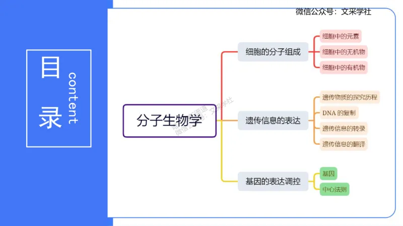 理论精讲02-分子生物学2-拾光_4-教培资料-26年最新资料-同步更新_初中高中教资_03科三专项（进去保存报考的学科即可）_01科目三FB网课、三色速记手册、知识点导图等推荐_初中