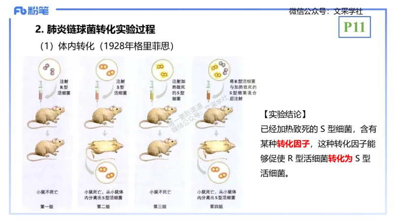 理论精讲02-分子生物学2-拾光_4-教培资料-26年最新资料-同步更新_初中高中教资_03科三专项（进去保存报考的学科即可）_01科目三FB网课、三色速记手册、知识点导图等推荐_初中