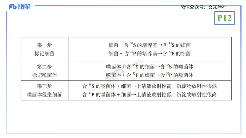 理论精讲02-分子生物学2-拾光_4-教培资料-26年最新资料-同步更新_初中高中教资_03科三专项（进去保存报考的学科即可）_01科目三FB网课、三色速记手册、知识点导图等推荐_初中