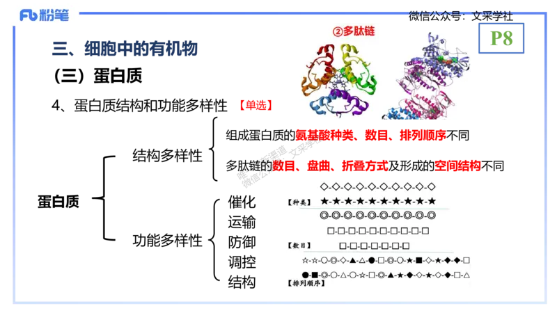 理论精讲02-分子生物学2-拾光_4-教培资料-26年最新资料-同步更新_初中高中教资_03科三专项（进去保存报考的学科即可）_01科目三FB网课、三色速记手册、知识点导图等推荐_初中