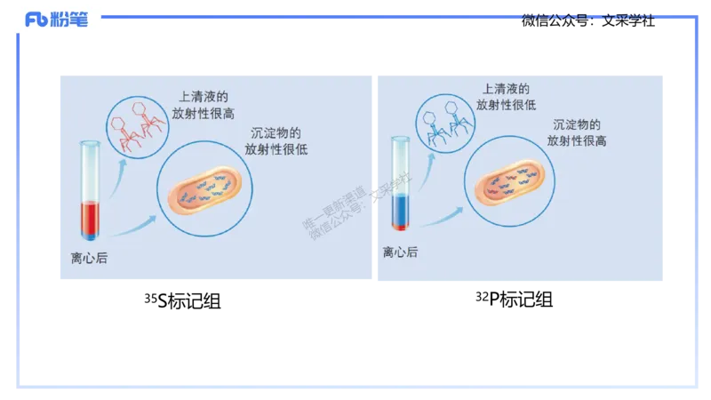 理论精讲02-分子生物学2-拾光_4-教培资料-26年最新资料-同步更新_初中高中教资_03科三专项（进去保存报考的学科即可）_01科目三FB网课、三色速记手册、知识点导图等推荐_初中