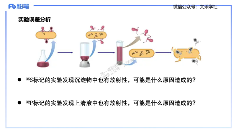 理论精讲02-分子生物学2-拾光_4-教培资料-26年最新资料-同步更新_初中高中教资_03科三专项（进去保存报考的学科即可）_01科目三FB网课、三色速记手册、知识点导图等推荐_初中