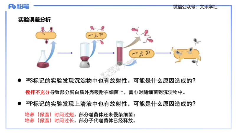 理论精讲02-分子生物学2-拾光_4-教培资料-26年最新资料-同步更新_初中高中教资_03科三专项（进去保存报考的学科即可）_01科目三FB网课、三色速记手册、知识点导图等推荐_初中