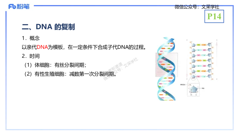 理论精讲02-分子生物学2-拾光_4-教培资料-26年最新资料-同步更新_初中高中教资_03科三专项（进去保存报考的学科即可）_01科目三FB网课、三色速记手册、知识点导图等推荐_初中