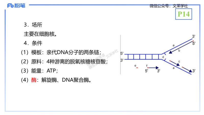 理论精讲02-分子生物学2-拾光_4-教培资料-26年最新资料-同步更新_初中高中教资_03科三专项（进去保存报考的学科即可）_01科目三FB网课、三色速记手册、知识点导图等推荐_初中