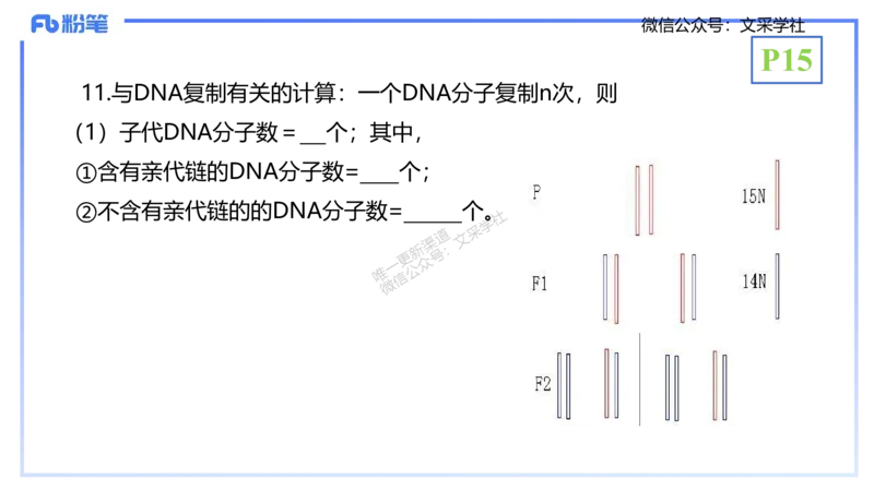 理论精讲02-分子生物学2-拾光_4-教培资料-26年最新资料-同步更新_初中高中教资_03科三专项（进去保存报考的学科即可）_01科目三FB网课、三色速记手册、知识点导图等推荐_初中