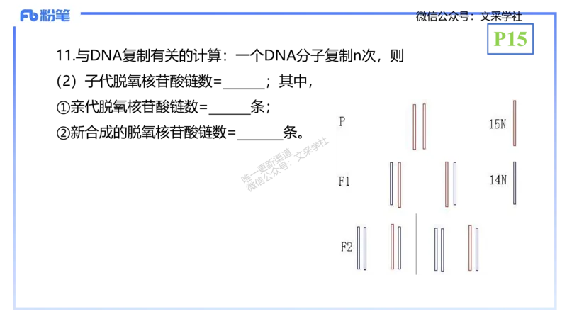 理论精讲02-分子生物学2-拾光_4-教培资料-26年最新资料-同步更新_初中高中教资_03科三专项（进去保存报考的学科即可）_01科目三FB网课、三色速记手册、知识点导图等推荐_初中