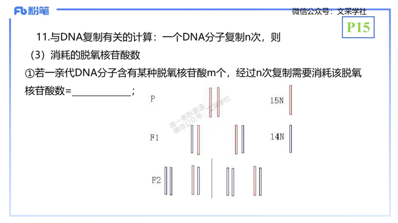 理论精讲02-分子生物学2-拾光_4-教培资料-26年最新资料-同步更新_初中高中教资_03科三专项（进去保存报考的学科即可）_01科目三FB网课、三色速记手册、知识点导图等推荐_初中