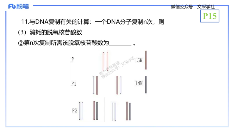 理论精讲02-分子生物学2-拾光_4-教培资料-26年最新资料-同步更新_初中高中教资_03科三专项（进去保存报考的学科即可）_01科目三FB网课、三色速记手册、知识点导图等推荐_初中