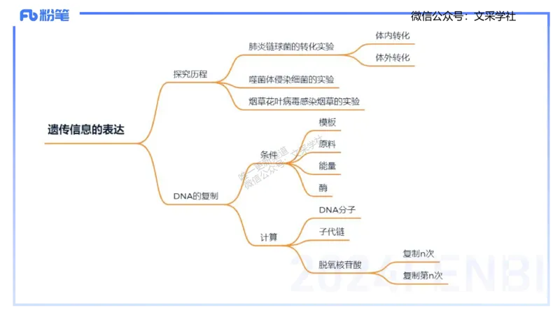理论精讲02-分子生物学2-拾光_4-教培资料-26年最新资料-同步更新_初中高中教资_03科三专项（进去保存报考的学科即可）_01科目三FB网课、三色速记手册、知识点导图等推荐_初中