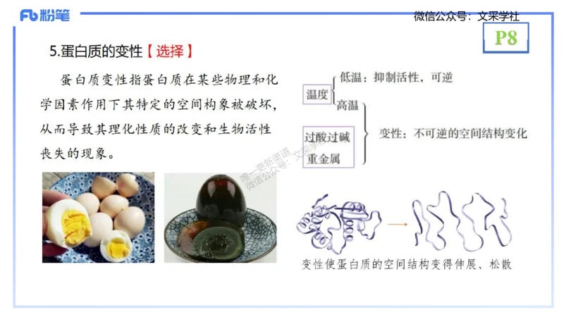 理论精讲02-分子生物学2-拾光_4-教培资料-26年最新资料-同步更新_初中高中教资_03科三专项（进去保存报考的学科即可）_01科目三FB网课、三色速记手册、知识点导图等推荐_初中