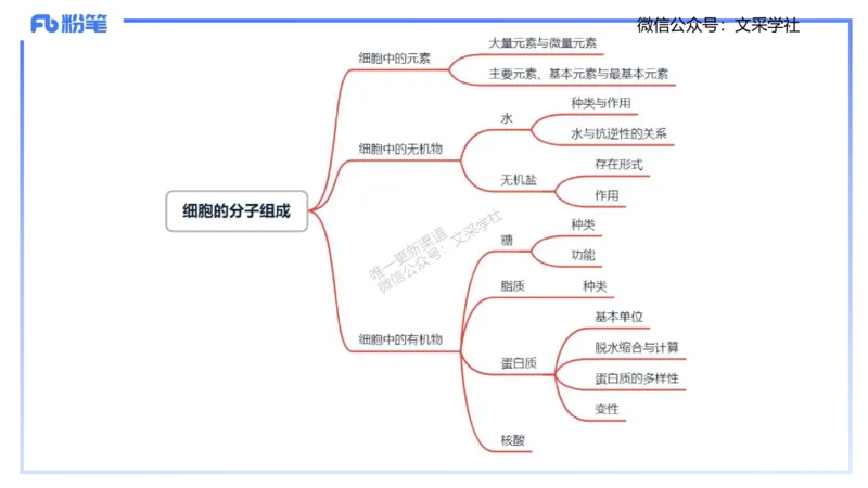 理论精讲02-分子生物学2-拾光_4-教培资料-26年最新资料-同步更新_初中高中教资_03科三专项（进去保存报考的学科即可）_01科目三FB网课、三色速记手册、知识点导图等推荐_初中
