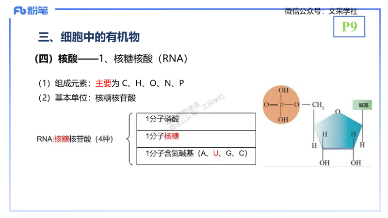 理论精讲02-分子生物学2-拾光_4-教培资料-26年最新资料-同步更新_初中高中教资_03科三专项（进去保存报考的学科即可）_01科目三FB网课、三色速记手册、知识点导图等推荐_初中