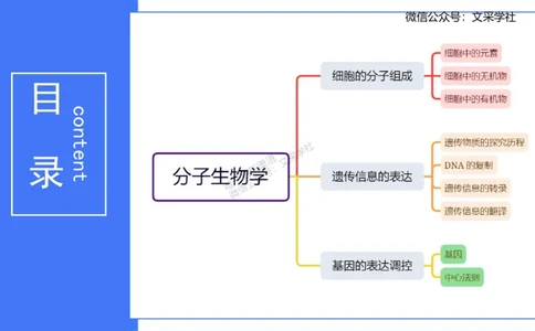 理论精讲02-分子生物学2-拾光_4-教培资料-26年最新资料-同步更新_初中高中教资_03科三专项（进去保存报考的学科即可）_01科目三FB网课、三色速记手册、知识点导图等推荐_初中