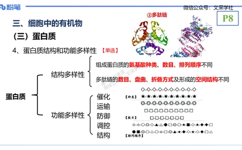 理论精讲02-分子生物学2-拾光_4-教培资料-26年最新资料-同步更新_初中高中教资_03科三专项（进去保存报考的学科即可）_01科目三FB网课、三色速记手册、知识点导图等推荐_初中