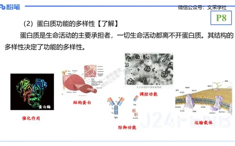 理论精讲02-分子生物学2-拾光_4-教培资料-26年最新资料-同步更新_初中高中教资_03科三专项（进去保存报考的学科即可）_01科目三FB网课、三色速记手册、知识点导图等推荐_初中