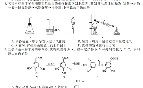 浙江省强基联盟2025年12月高三联考化学_2025年12月_251203浙江省强基联盟2025年12月高三联考