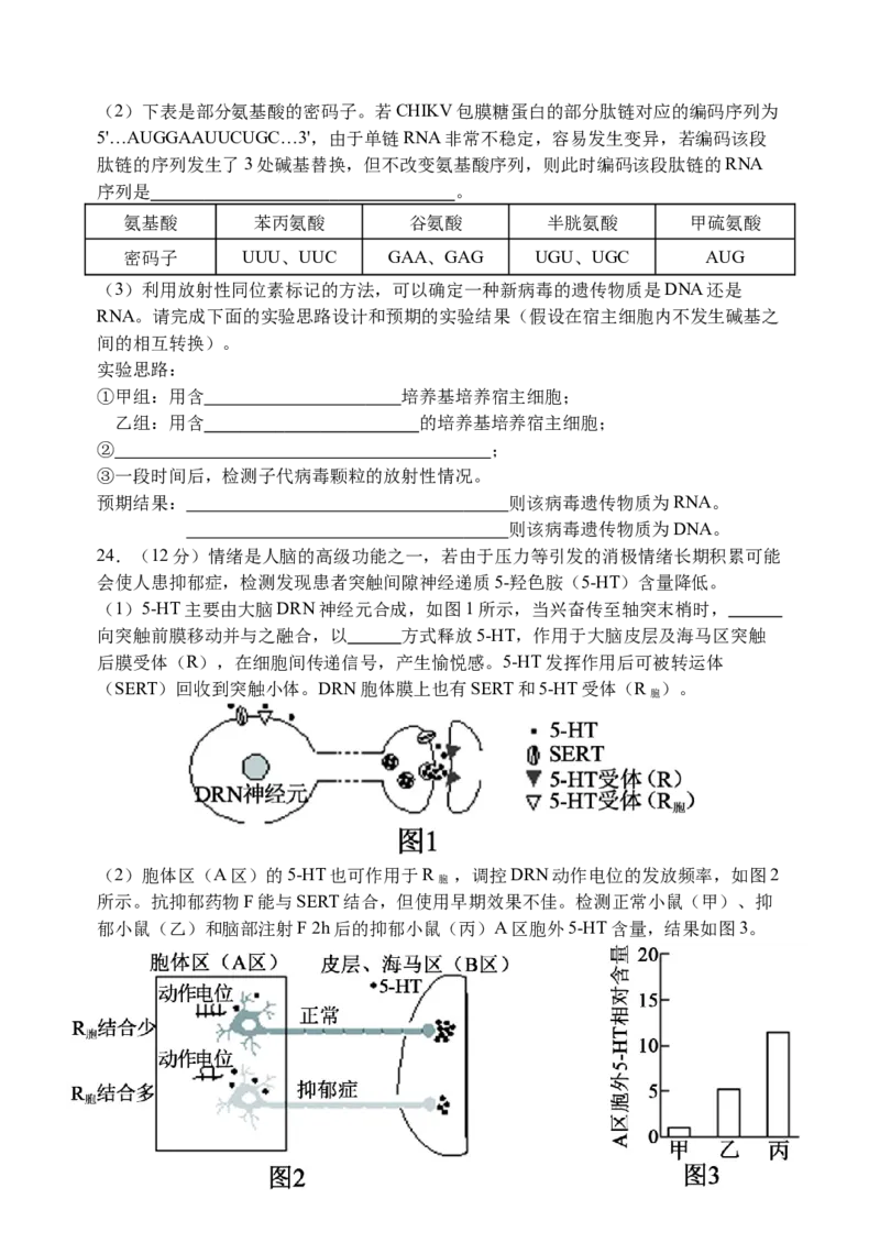 三模试卷_2025年12月_251204辽宁省沈阳市东北育才学校2026届高三上学期第三次模拟考试_生物