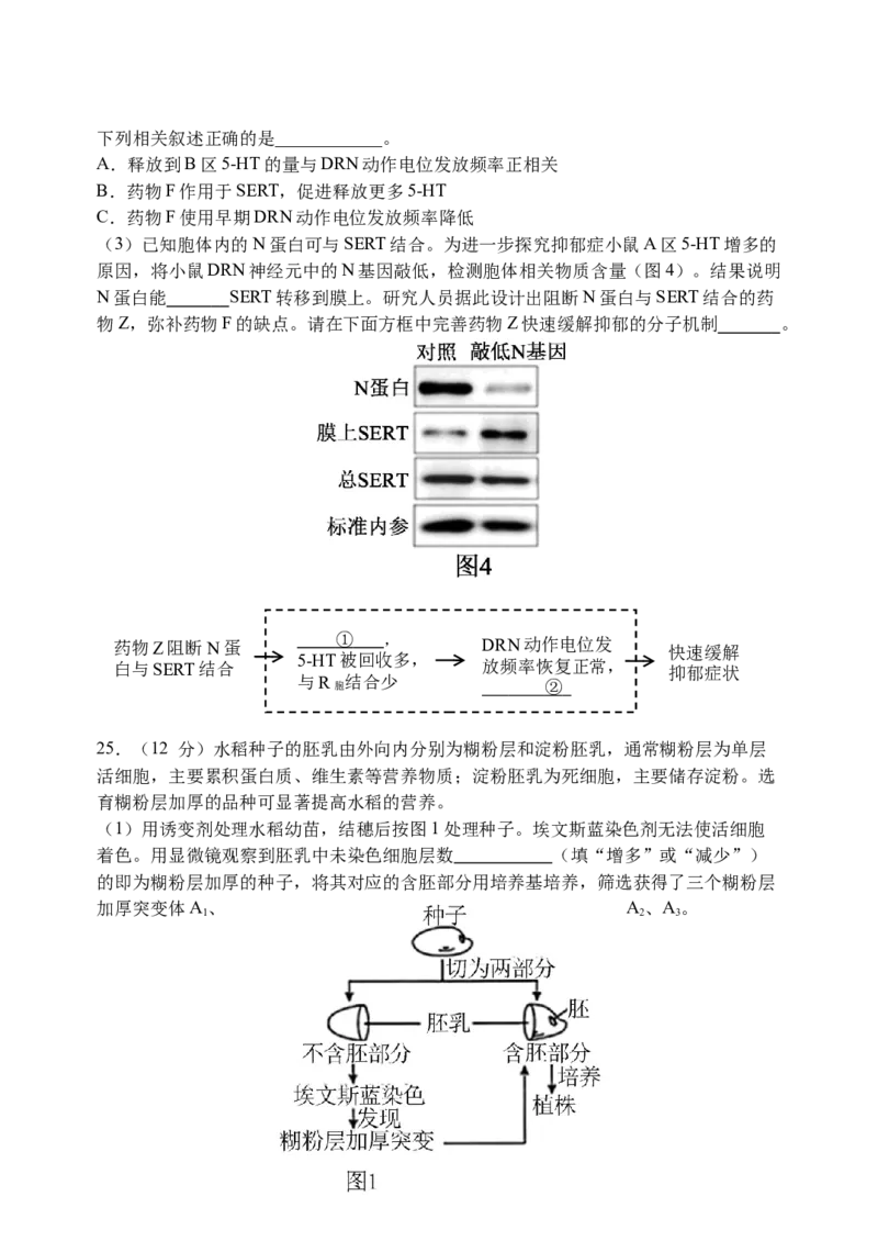 三模试卷_2025年12月_251204辽宁省沈阳市东北育才学校2026届高三上学期第三次模拟考试_生物