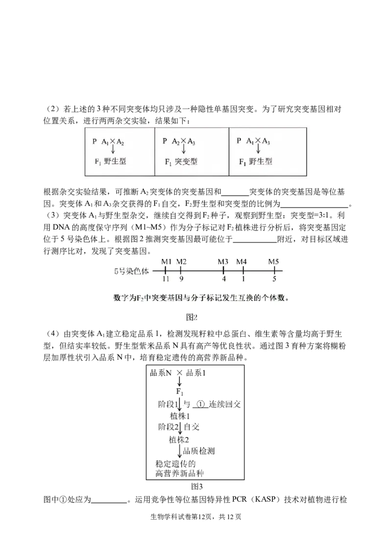 三模试卷_2025年12月_251204辽宁省沈阳市东北育才学校2026届高三上学期第三次模拟考试_生物