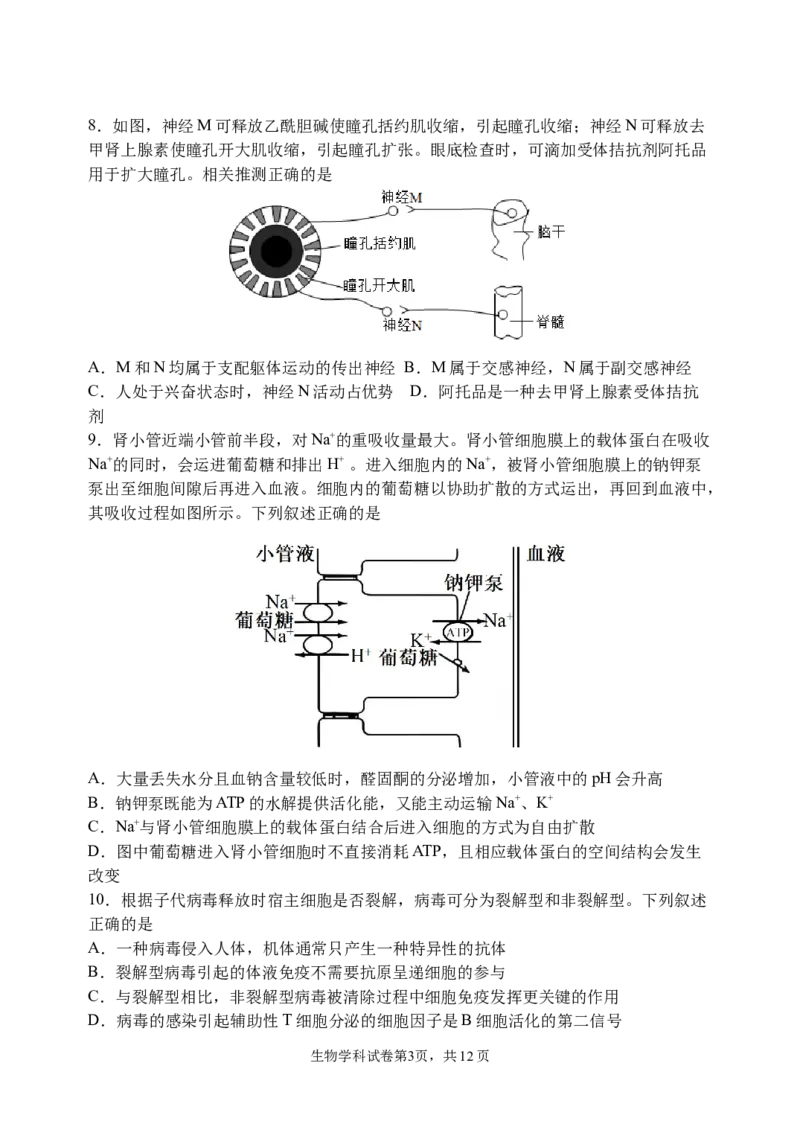 三模试卷_2025年12月_251204辽宁省沈阳市东北育才学校2026届高三上学期第三次模拟考试_生物