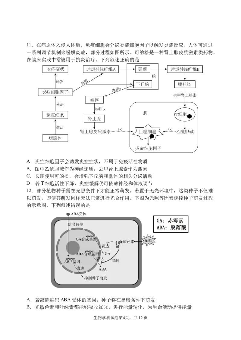 三模试卷_2025年12月_251204辽宁省沈阳市东北育才学校2026届高三上学期第三次模拟考试_生物