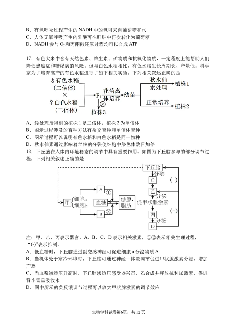 三模试卷_2025年12月_251204辽宁省沈阳市东北育才学校2026届高三上学期第三次模拟考试_生物