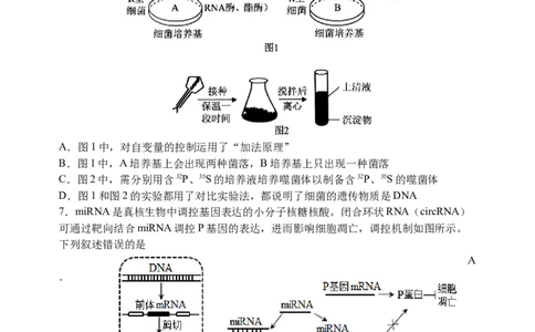 三模试卷_2025年12月_251204辽宁省沈阳市东北育才学校2026届高三上学期第三次模拟考试_生物