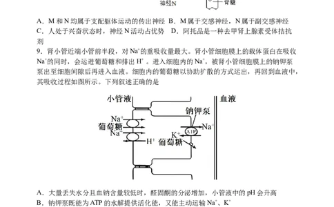 三模试卷_2025年12月_251204辽宁省沈阳市东北育才学校2026届高三上学期第三次模拟考试_生物
