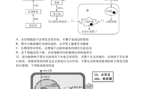 三模试卷_2025年12月_251204辽宁省沈阳市东北育才学校2026届高三上学期第三次模拟考试_生物