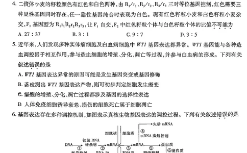2026届上进高三第一次大联考生物试卷_2025年7月_250723江西省上进联考2026届高三上学期第一次联考（全科）_江西省上进联考2026届高三上学期第一次联考生物试卷（含答案）