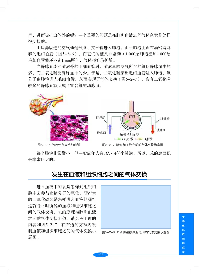 沪教版9年级科学上册高清教材_4-教培资料-26年最新资料-同步更新_初中高中教资_03科三专项（进去保存报考的学科即可）_02科三专项（笔记真题思维导图教学设计版本二）