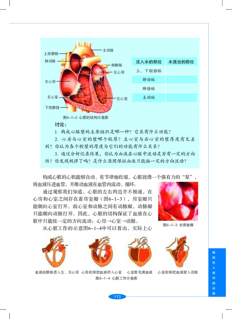 沪教版9年级科学上册高清教材_4-教培资料-26年最新资料-同步更新_初中高中教资_03科三专项（进去保存报考的学科即可）_02科三专项（笔记真题思维导图教学设计版本二）