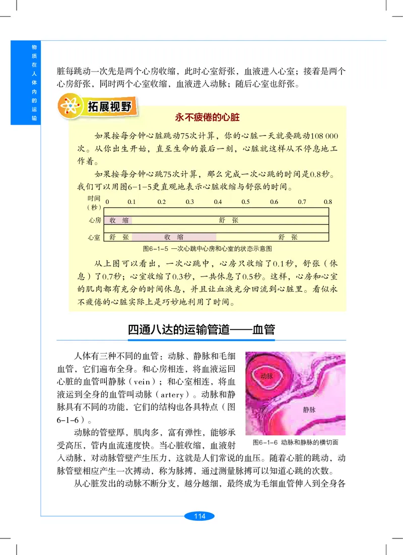 沪教版9年级科学上册高清教材_4-教培资料-26年最新资料-同步更新_初中高中教资_03科三专项（进去保存报考的学科即可）_02科三专项（笔记真题思维导图教学设计版本二）