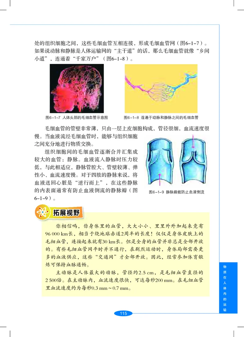 沪教版9年级科学上册高清教材_4-教培资料-26年最新资料-同步更新_初中高中教资_03科三专项（进去保存报考的学科即可）_02科三专项（笔记真题思维导图教学设计版本二）