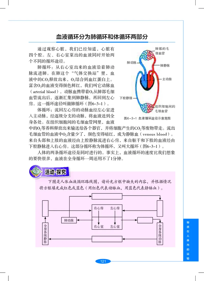 沪教版9年级科学上册高清教材_4-教培资料-26年最新资料-同步更新_初中高中教资_03科三专项（进去保存报考的学科即可）_02科三专项（笔记真题思维导图教学设计版本二）