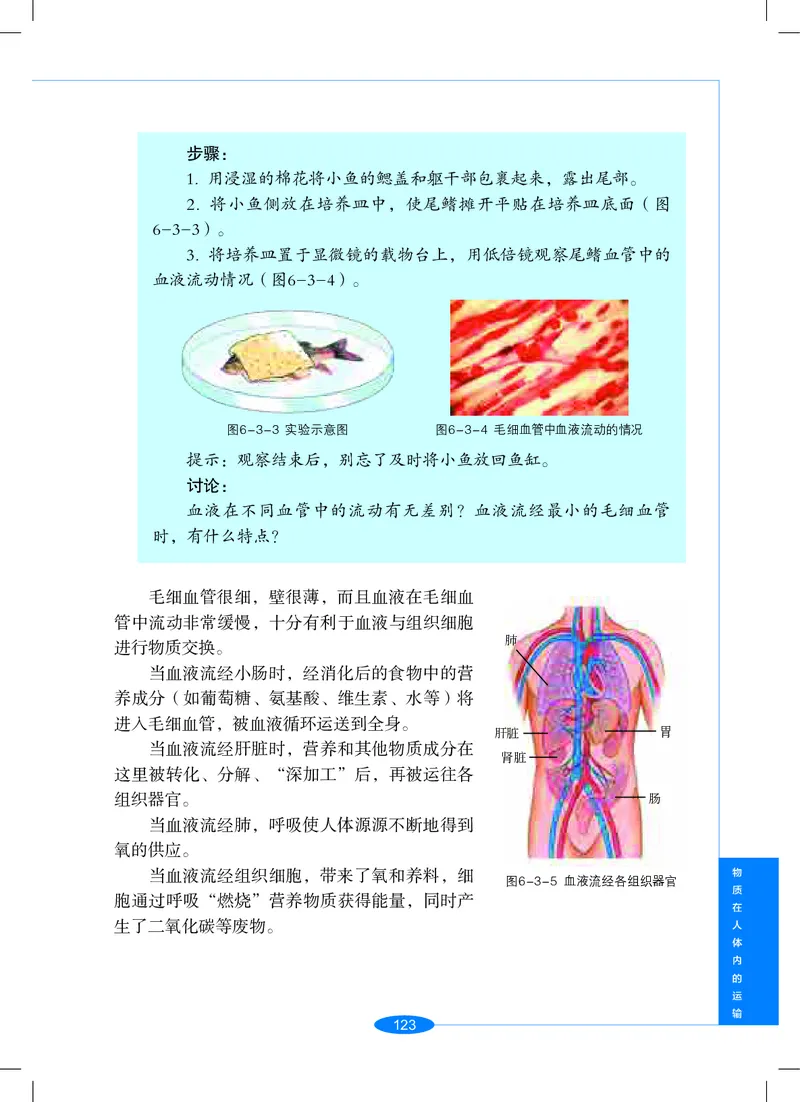 沪教版9年级科学上册高清教材_4-教培资料-26年最新资料-同步更新_初中高中教资_03科三专项（进去保存报考的学科即可）_02科三专项（笔记真题思维导图教学设计版本二）