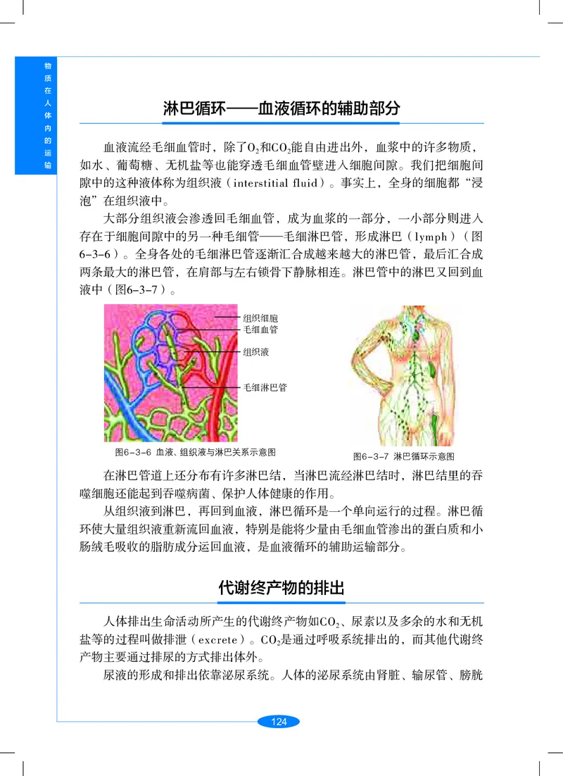 沪教版9年级科学上册高清教材_4-教培资料-26年最新资料-同步更新_初中高中教资_03科三专项（进去保存报考的学科即可）_02科三专项（笔记真题思维导图教学设计版本二）
