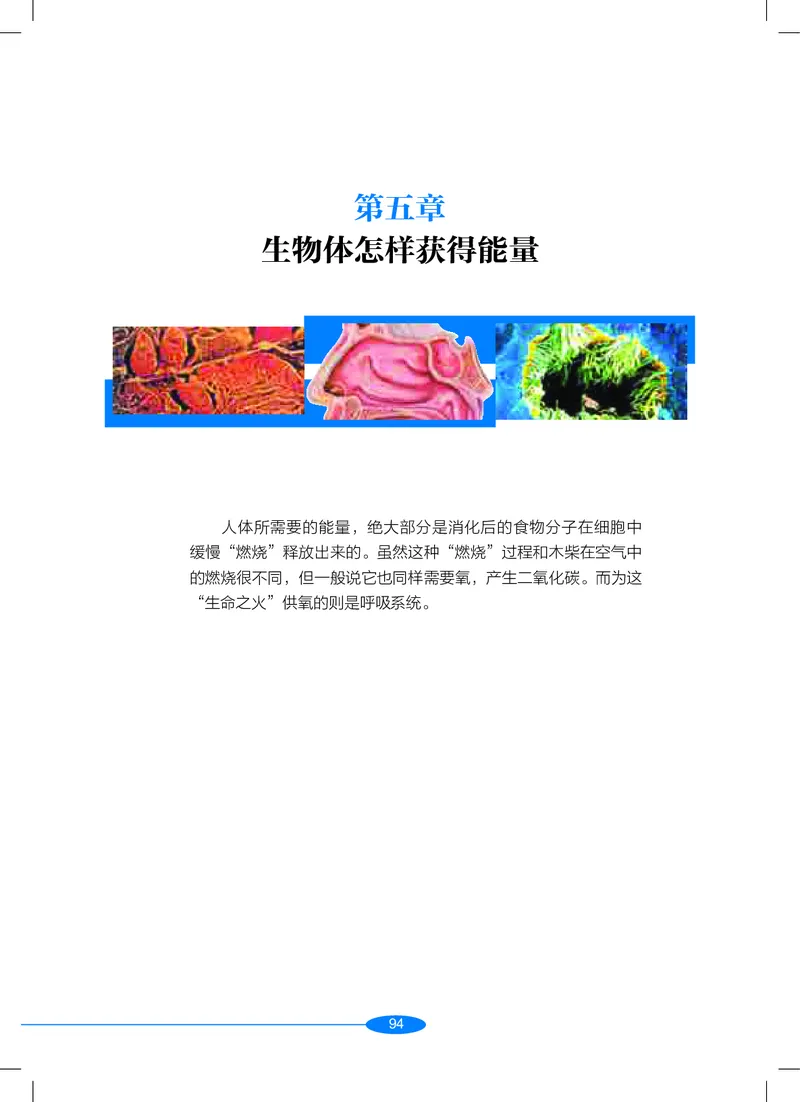 沪教版9年级科学上册高清教材_4-教培资料-26年最新资料-同步更新_初中高中教资_03科三专项（进去保存报考的学科即可）_02科三专项（笔记真题思维导图教学设计版本二）