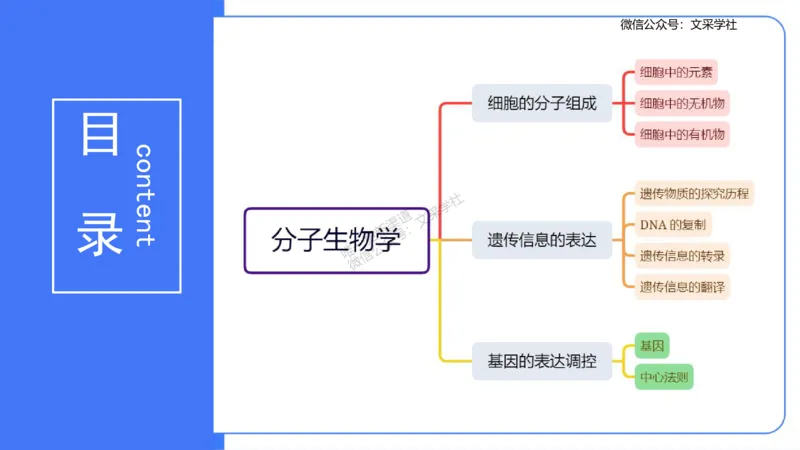 理论精讲01-分子生物学1-拾光_4-教培资料-26年最新资料-同步更新_初中高中教资_03科三专项（进去保存报考的学科即可）_01科目三FB网课、三色速记手册、知识点导图等推荐_初中