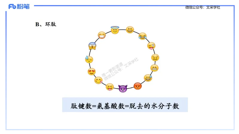 理论精讲01-分子生物学1-拾光_4-教培资料-26年最新资料-同步更新_初中高中教资_03科三专项（进去保存报考的学科即可）_01科目三FB网课、三色速记手册、知识点导图等推荐_初中