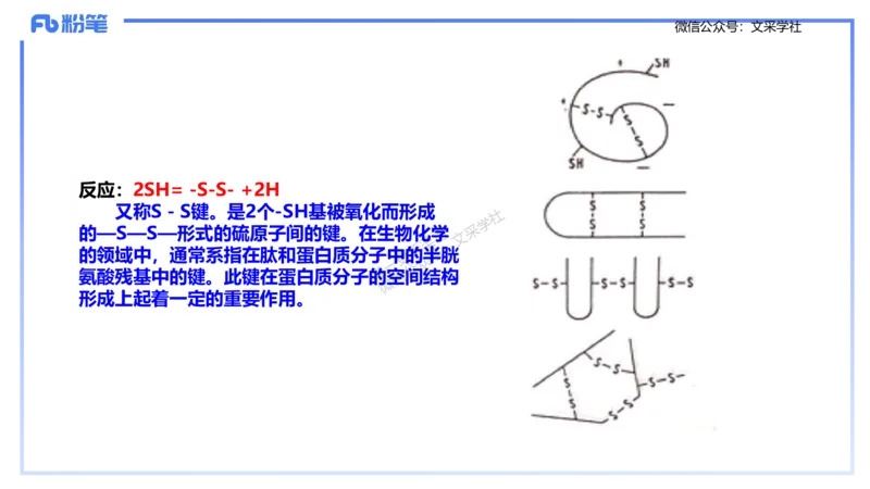 理论精讲01-分子生物学1-拾光_4-教培资料-26年最新资料-同步更新_初中高中教资_03科三专项（进去保存报考的学科即可）_01科目三FB网课、三色速记手册、知识点导图等推荐_初中