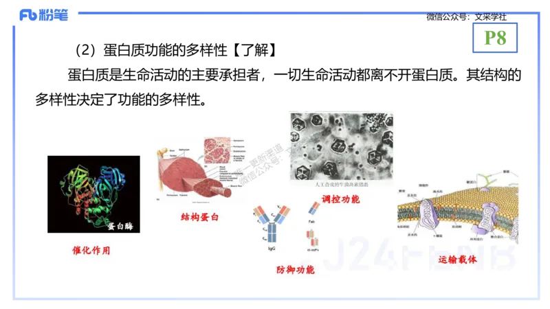 理论精讲01-分子生物学1-拾光_4-教培资料-26年最新资料-同步更新_初中高中教资_03科三专项（进去保存报考的学科即可）_01科目三FB网课、三色速记手册、知识点导图等推荐_初中