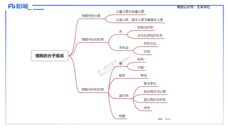 理论精讲01-分子生物学1-拾光_4-教培资料-26年最新资料-同步更新_初中高中教资_03科三专项（进去保存报考的学科即可）_01科目三FB网课、三色速记手册、知识点导图等推荐_初中