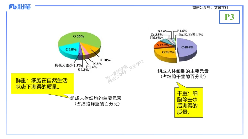 理论精讲01-分子生物学1-拾光_4-教培资料-26年最新资料-同步更新_初中高中教资_03科三专项（进去保存报考的学科即可）_01科目三FB网课、三色速记手册、知识点导图等推荐_初中
