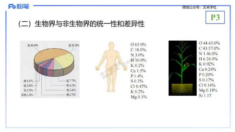 理论精讲01-分子生物学1-拾光_4-教培资料-26年最新资料-同步更新_初中高中教资_03科三专项（进去保存报考的学科即可）_01科目三FB网课、三色速记手册、知识点导图等推荐_初中