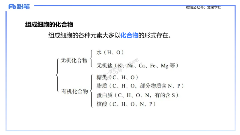 理论精讲01-分子生物学1-拾光_4-教培资料-26年最新资料-同步更新_初中高中教资_03科三专项（进去保存报考的学科即可）_01科目三FB网课、三色速记手册、知识点导图等推荐_初中